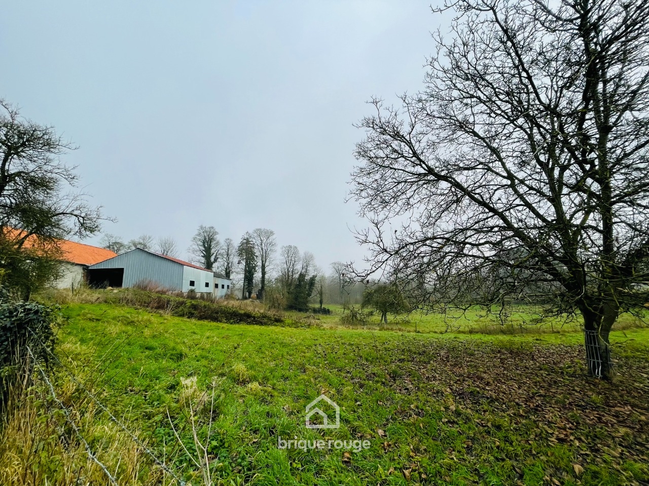 Ferme au carree avec son gite  potentiel  Photo 15 - Brique Rouge Immobilier