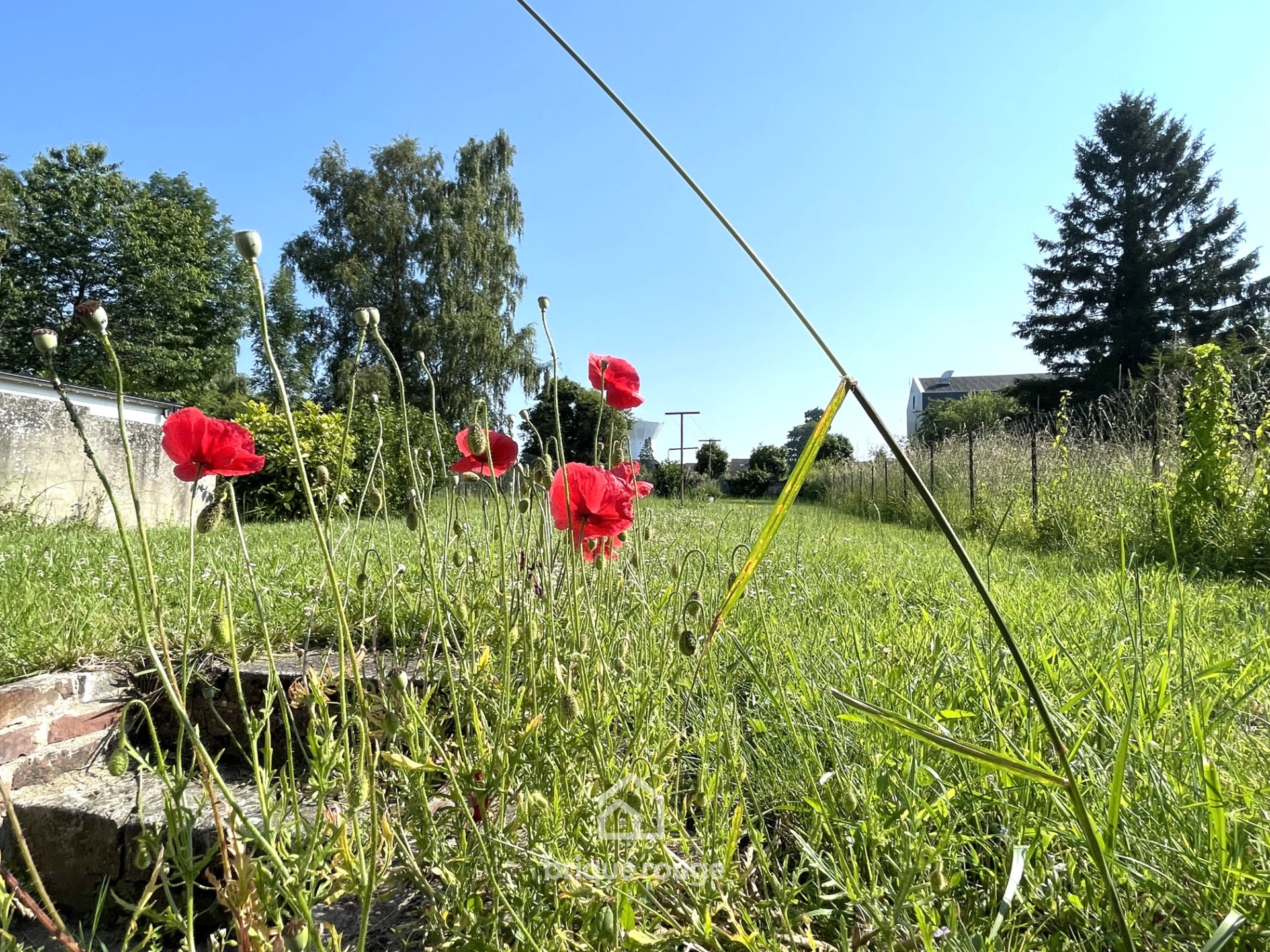 Maison de caractere avec garage et jardin bethune Photo 4 - Brique Rouge Immobilier