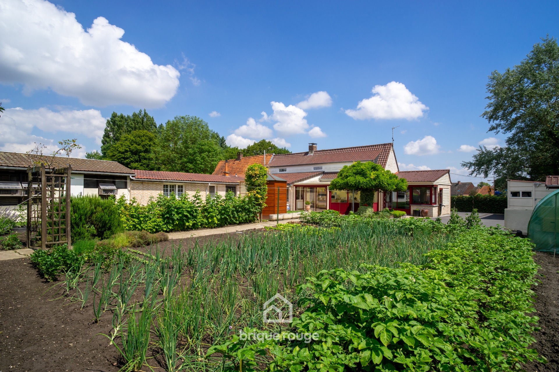 Willems grande  maison familiale  140 m  deux garages Photo 2 - Brique Rouge Immobilier