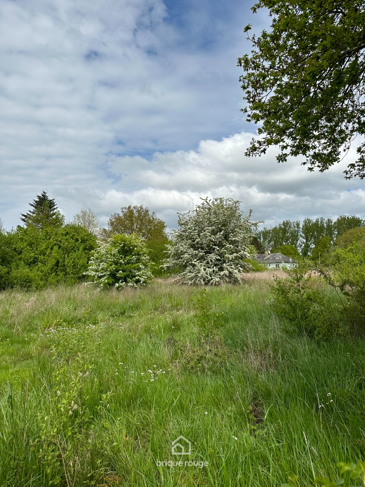 Maison  rehabiliter 154 m sur 5000m de terrain Photo 2 - Brique Rouge Immobilier