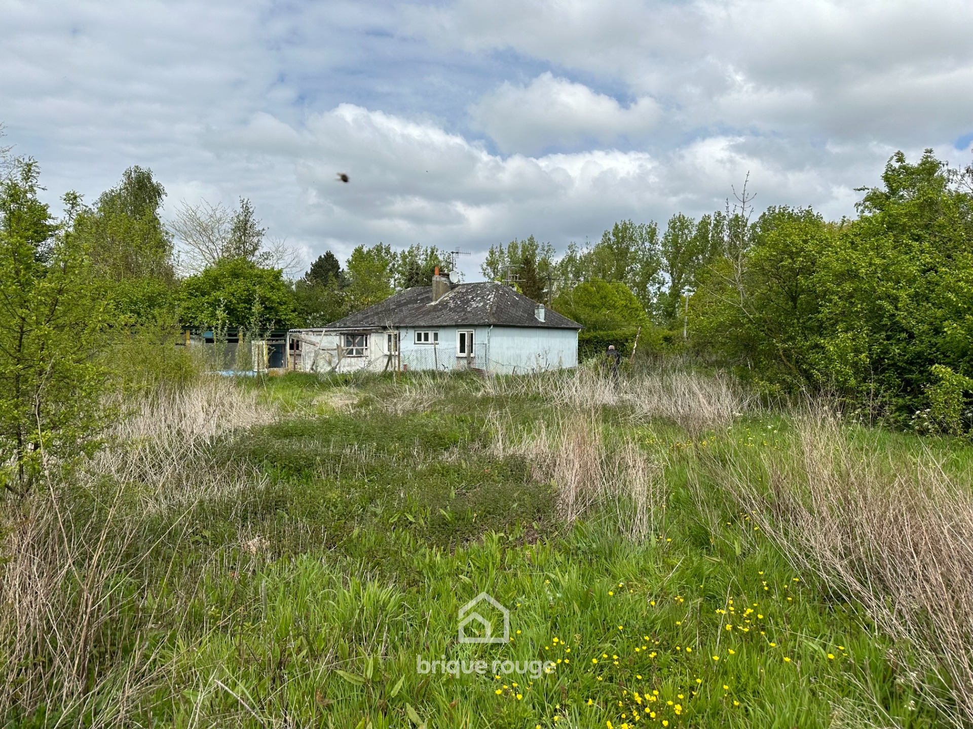 Maison  rehabiliter 154 m sur 5000m de terrain Photo 3 - Brique Rouge Immobilier