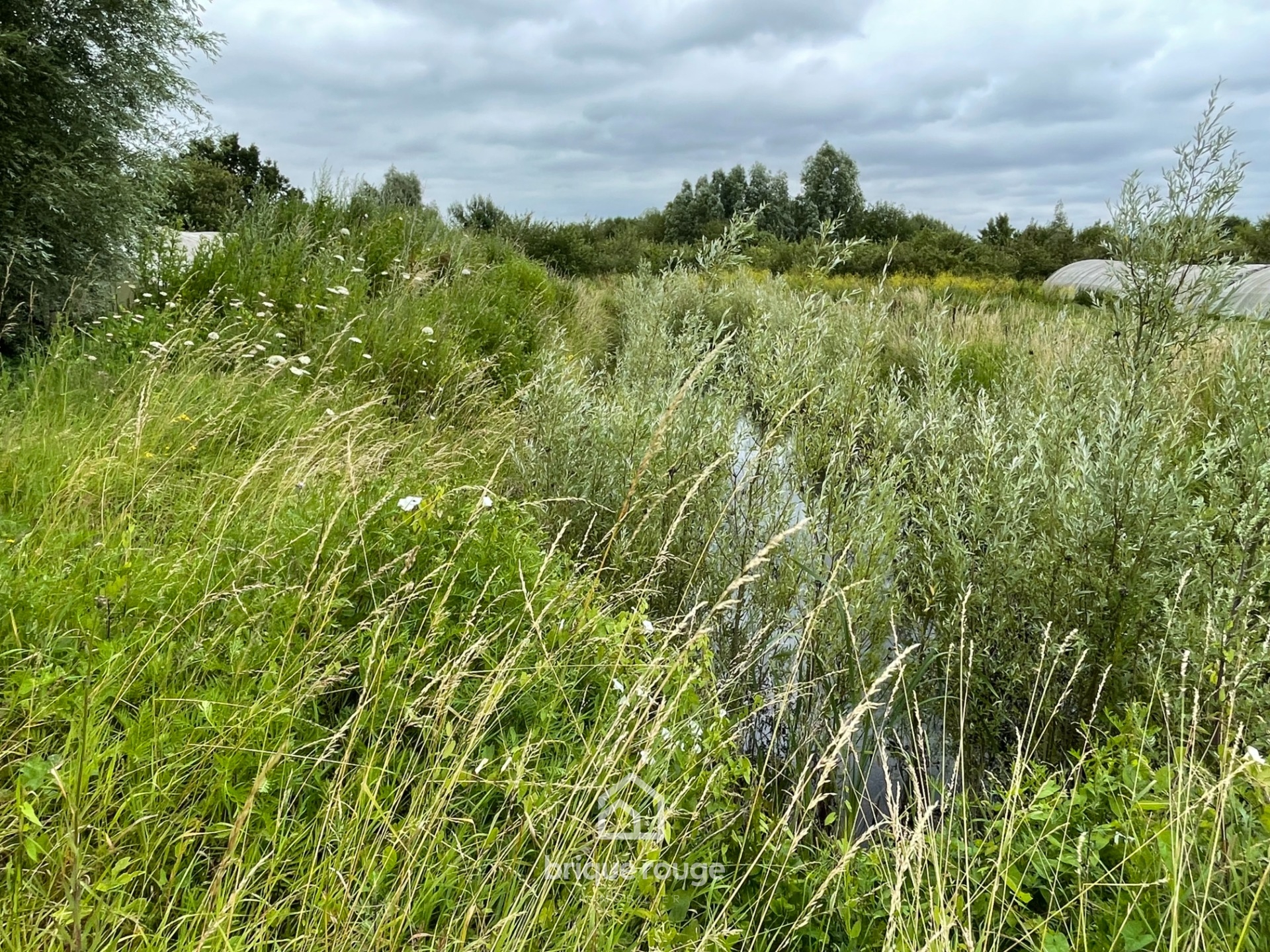 Terrain de 8411m sur la commune de merville Photo 1 - Brique Rouge Immobilier