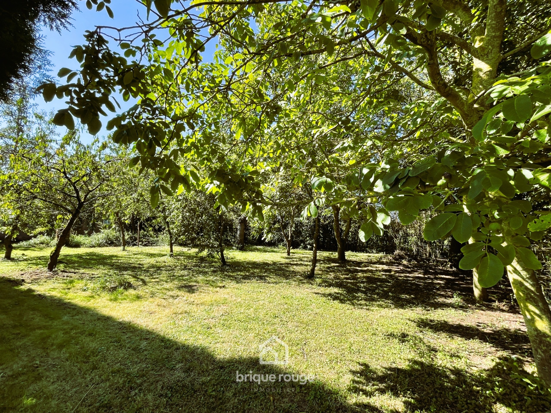 Maison individuelle avec grand jardin sur merville Photo 8 - Brique Rouge Immobilier