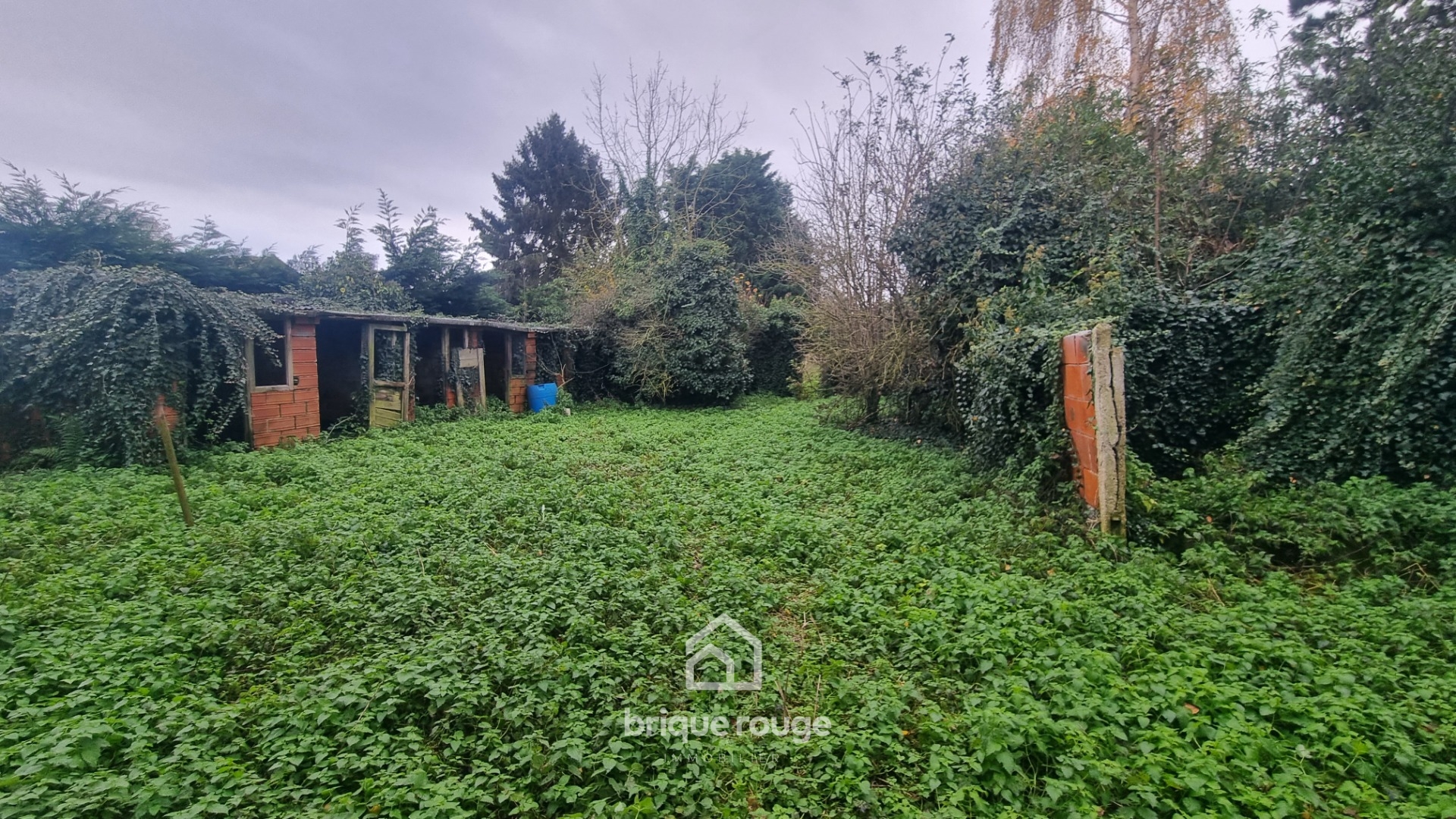 Ferme avec de nombreuses possibilites Photo 8 - Brique Rouge Immobilier