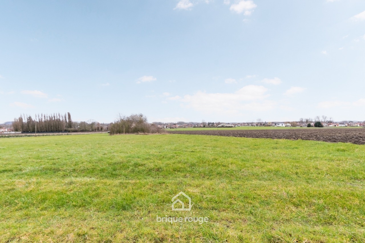 Individuelle campagne raimbeaucourt 160 m 1800 m terrain Photo 16 - Brique Rouge Immobilier